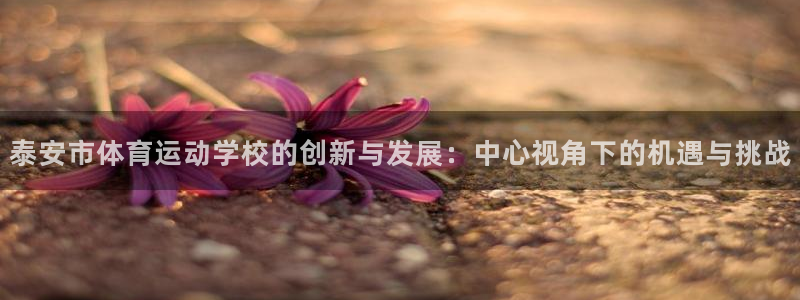 谈球吧体育：泰安市体育运动学校的创新与发展：中心视角下的机遇与挑战