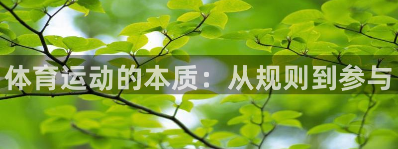 谈球吧体育官网：体育运动的本质：从规则到参与