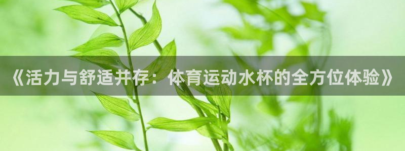谈球吧体育官网：《活力与舒适并存：体育运动水杯的全方位体验》