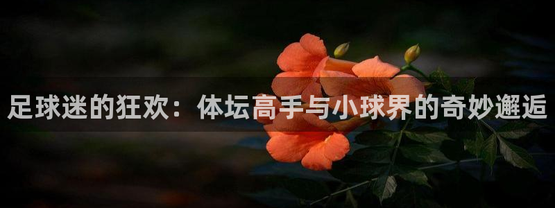 谈球吧体育：足球迷的狂欢：体坛高手与小球界的奇妙邂逅