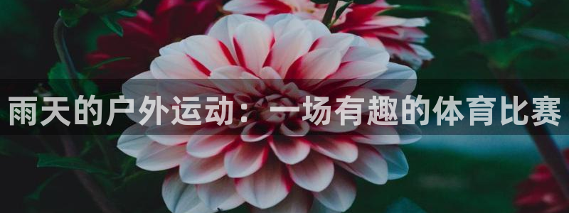 谈球吧：雨天的户外运动：一场有趣的体育比赛