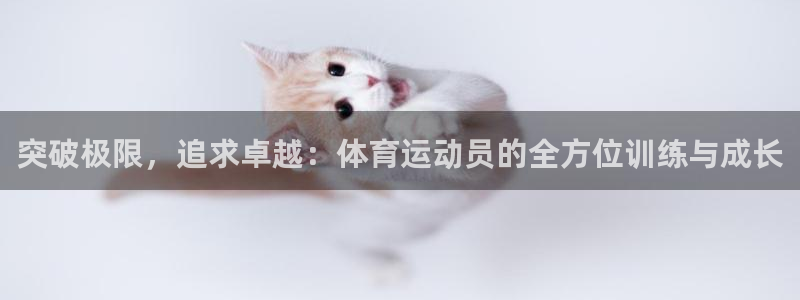 谈球吧体育：突破极限，追求卓越：体育运动员的全方位训练与成长