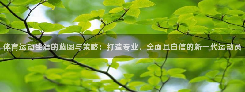 谈球吧体育官网：体育运动生涯的蓝图与策略：打造专业、全面且自信的新一代运动员